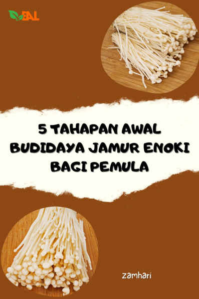 Sampul buku 5 Tahapan Awal Budid...